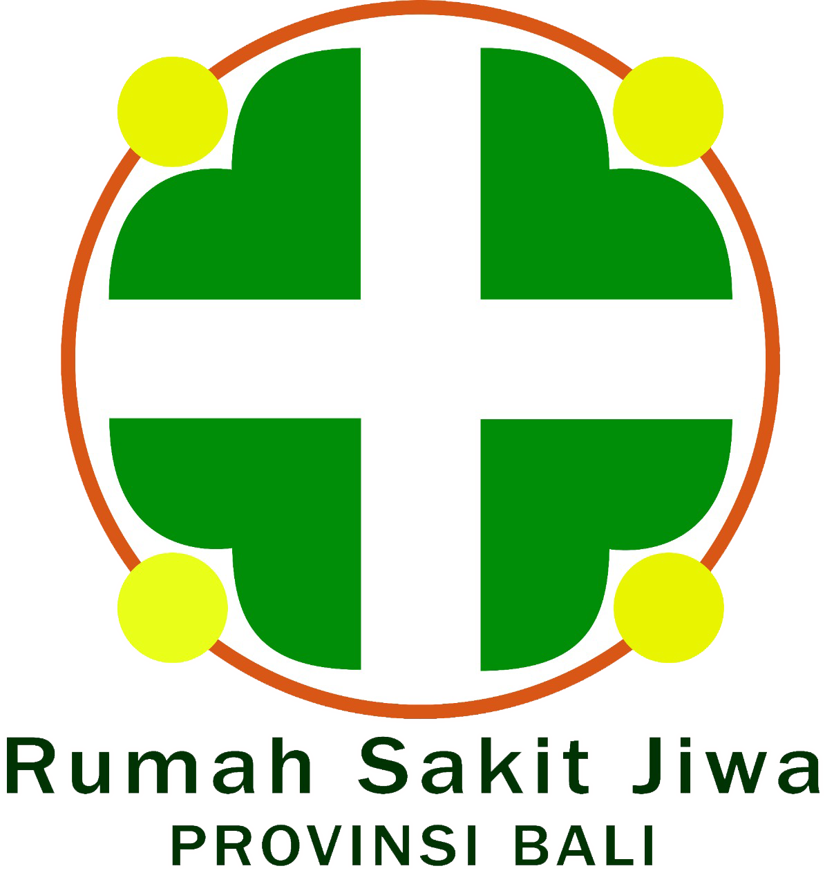 RS Jiwa Provinsi Bali